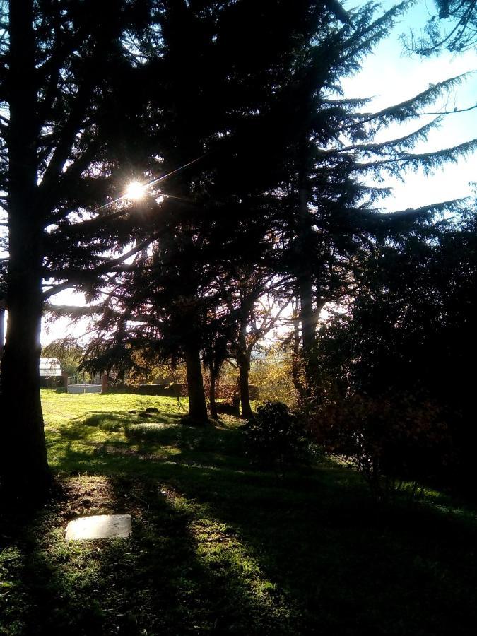 Le Manoir Des Rochers Bouere Εξωτερικό φωτογραφία